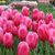 Marcia Ann Casey's profile image