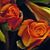 Mike Shay's profile image