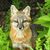 Kathy Carr-Bernet's profile image