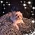 Angela Maria's profile image