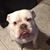 Duce Sloan's profile image