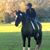 Shelley Botvin's profile image