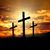 Chris Servia's profile image