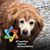 Debbie Annett's profile image