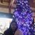 Marisela Ross's profile image