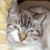 Nancy Stokes's profile image