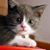 Maria Lopez's profile image