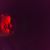 Bear Linh's profile image