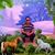 Otilio Zamora's profile image