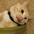 SScrimson Devastation Scott's profile image