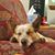 Judi Adelman's profile image