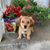 Bobette Patricia's profile image