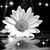 Helen Marie's profile image