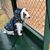 Michelle Minor Honeycutt's profile image