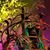 Deanna Reye's profile image
