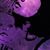 Chelsea Brooke's profile image