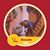 Carolina Parra's profile image