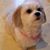Cecelia Burton Jakoby's profile image