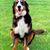 Jim Kunce's profile image