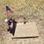 Sandra Rostron's profile image