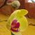 Janeth Cecilia Flores Sandoval's profile image