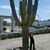 Andrea Varadi's profile image