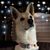 Sean Witzke's profile image