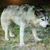 Terry Tseng's profile image