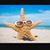 Barbara Gries-Miller's profile image