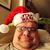 Matthew J Harju's profile image