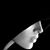 Gabriella Aguilera's profile image