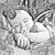 Kay Bates's profile image