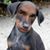 Don Diego's profile image