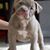 Tammy Taylor's profile image