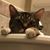 Dawn Pedrick's profile image