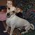 Jeanne Cook's profile image