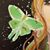 Laura Carpenter's profile image