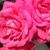 Chuyita Martinez's profile image