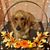Joan Bailey's profile image