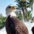 Julie Lloyd Atkinson's profile image