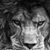Kenny Thomas's profile image