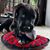 Jnookie Cookies's profile image