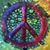 Linda Whitehead's profile image