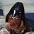 Jason McFarland's profile image