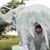 Sean Duncan's profile image