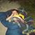 Dawnelle Marie Dendy-Lanz's profile image