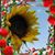 Gladys Cardona's profile image