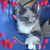 Michelle Heart's profile image