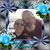 Terri Maurer's profile image