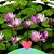 Gladys Nfodzo's profile image